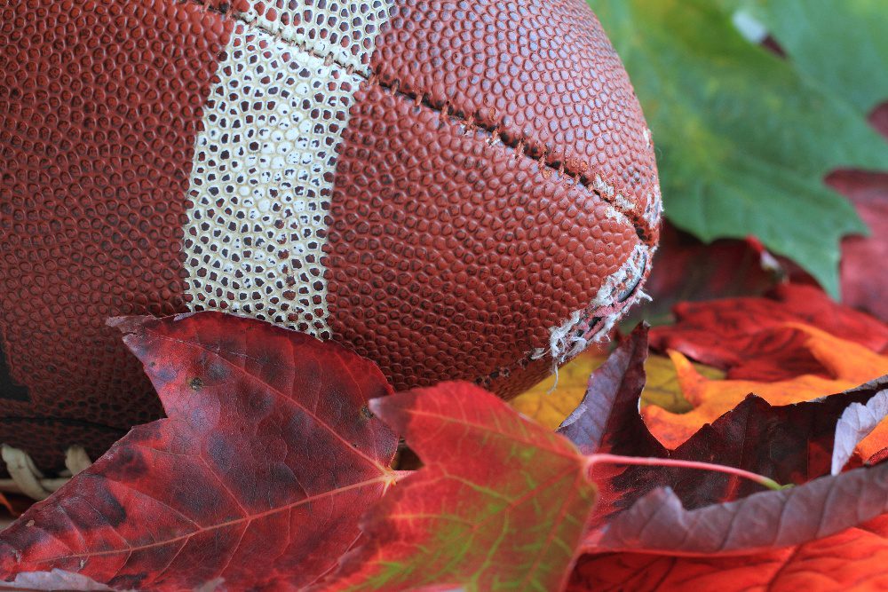 football laying on fall leaves
